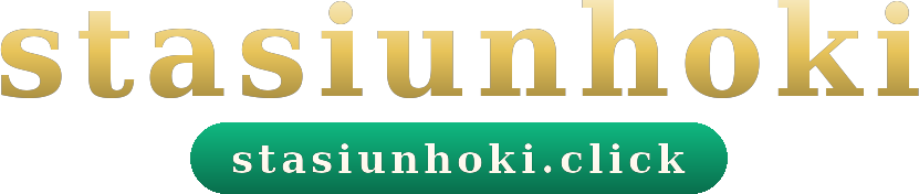 stasiunhoki logo